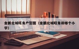 金鹏北城旺角户型图（金鹏北城旺角读哪个小学）