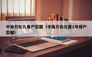 中海万松九里户型图（中海万松九里1号楼户型图）