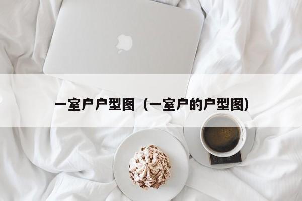 一室户户型图（一室户的户型图）-第1张图片-永利集团88304官网 - 澳门3044永利官方入口